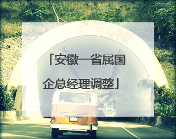安徽一省属国企总经理调整